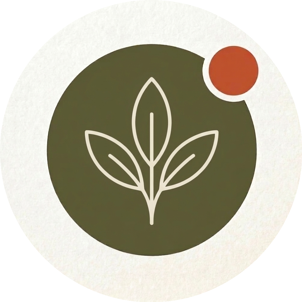 Lina Olivetree